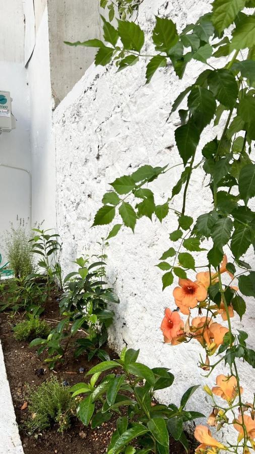 Μy Ηομε Apartamento Chalkís Exterior foto
